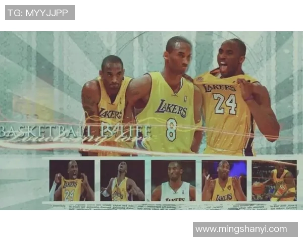 篮球明星背后的号码故事与传奇人生揭秘